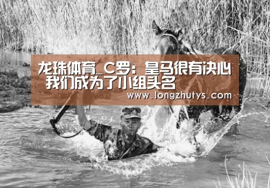 龙珠体育