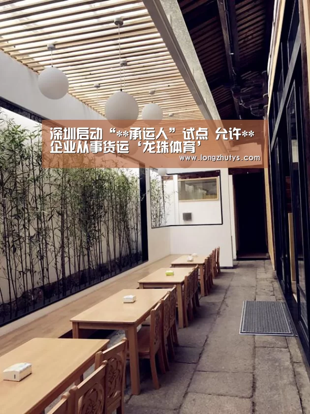 龙珠体育体育