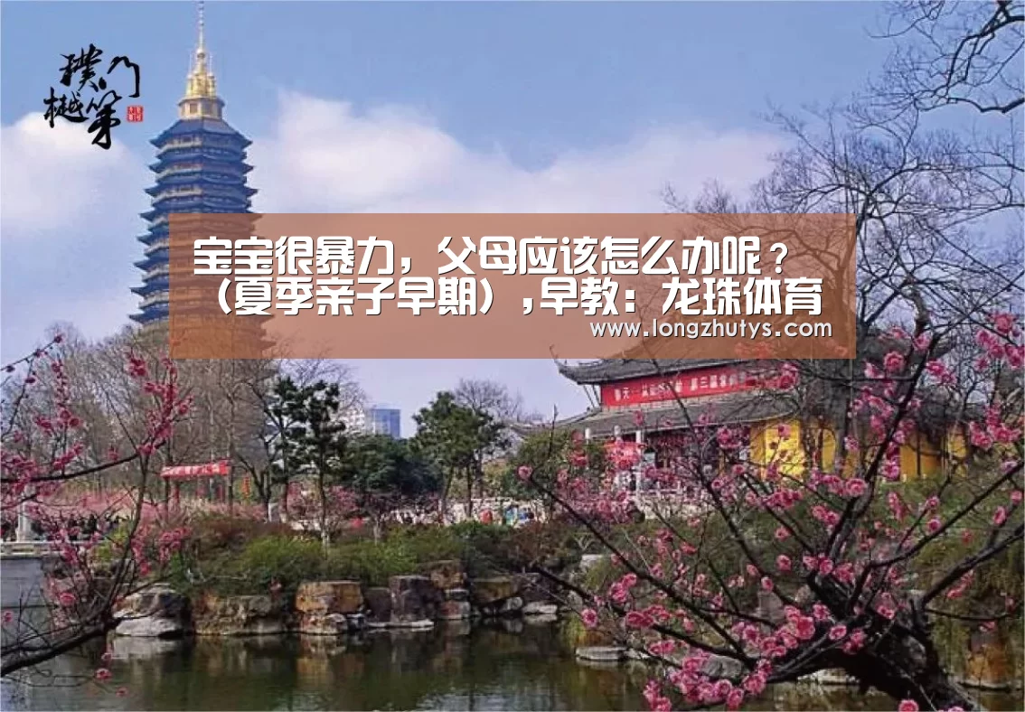 龙珠体育