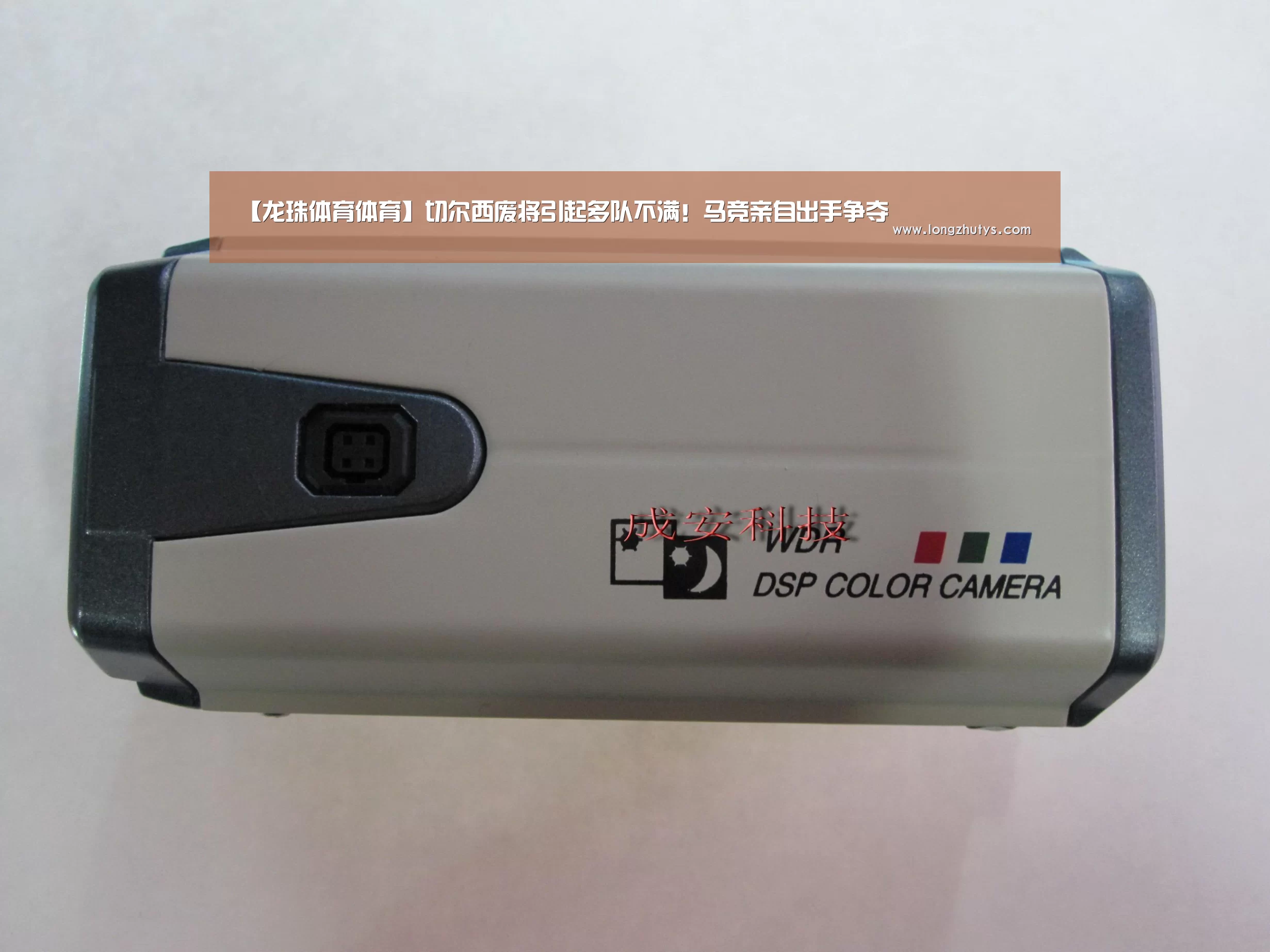 龙珠体育