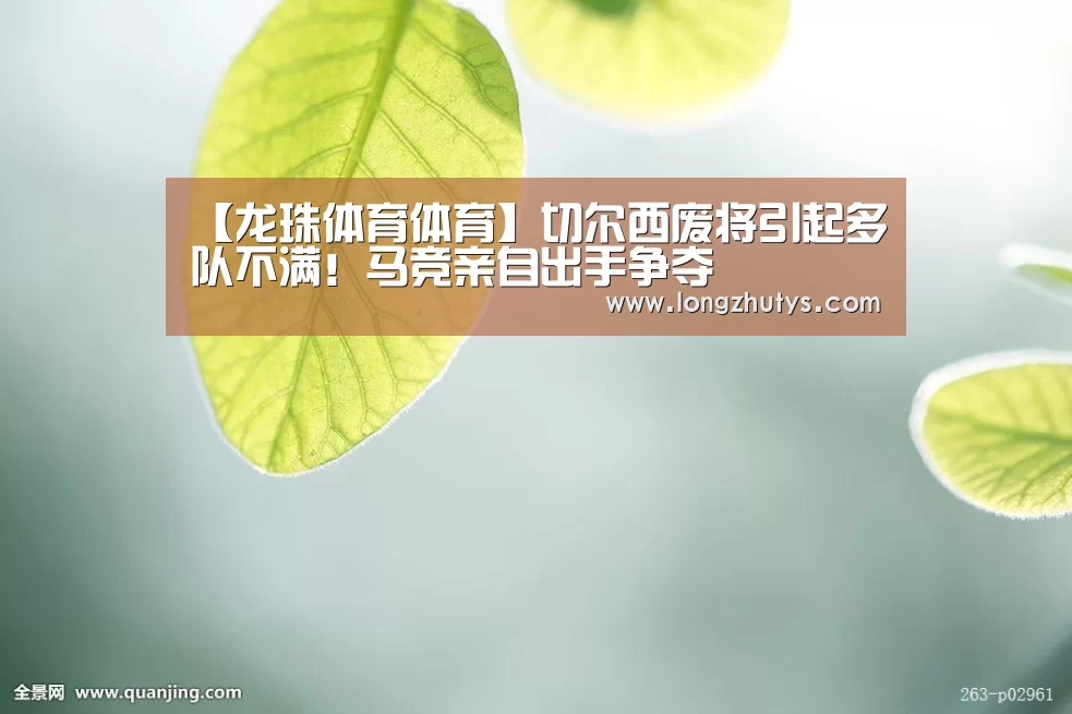 龙珠体育