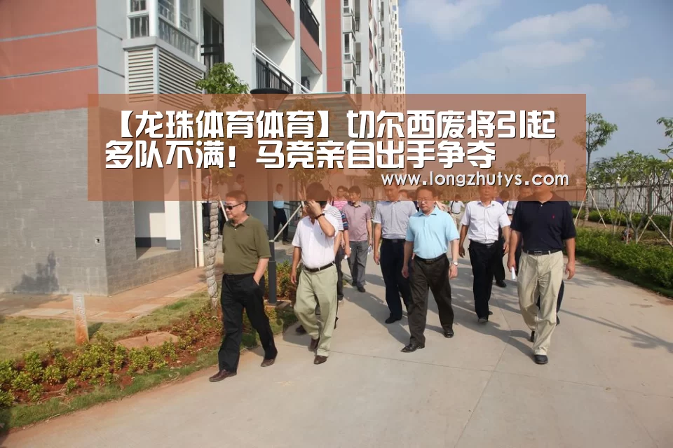 龙珠体育