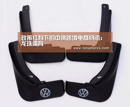 龙珠体育体育