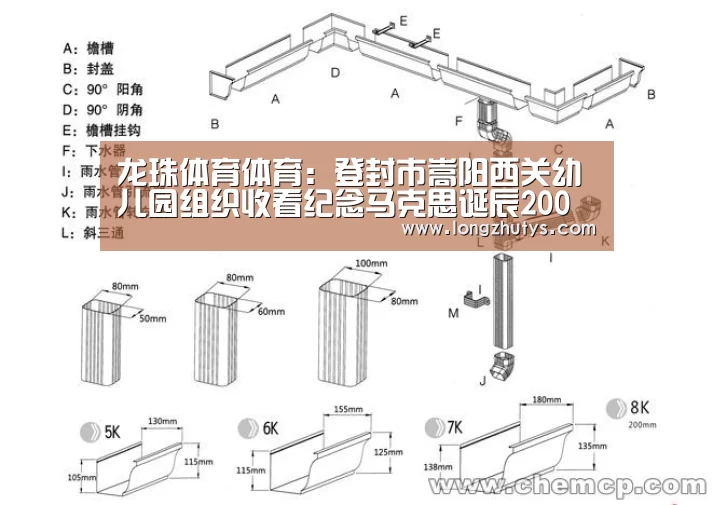 龙珠体育