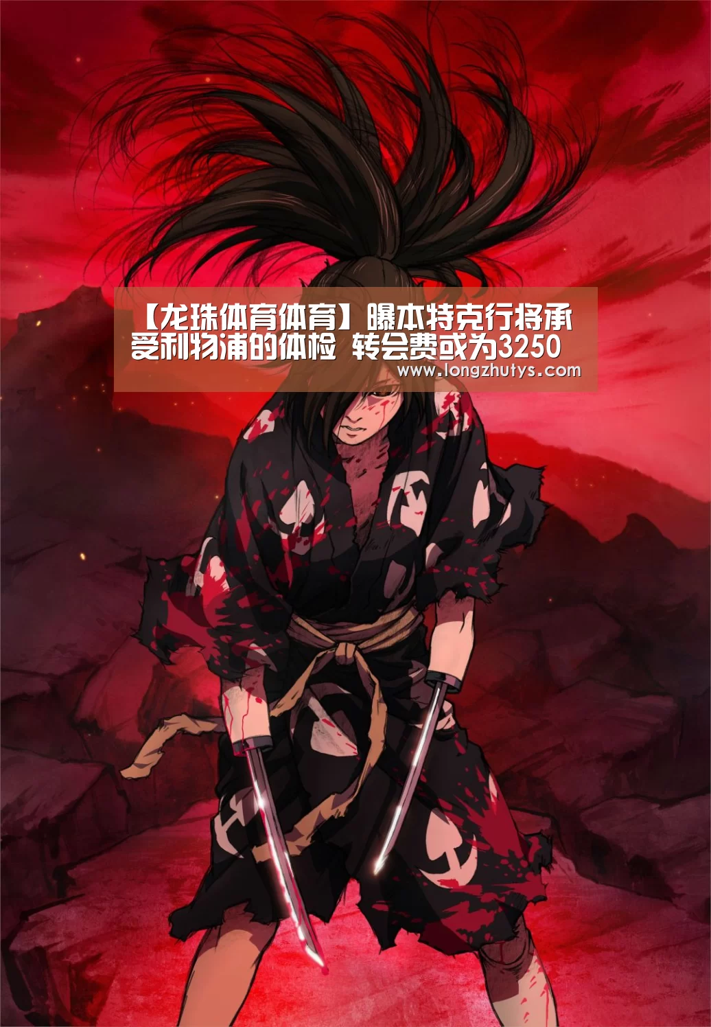 龙珠体育体育
