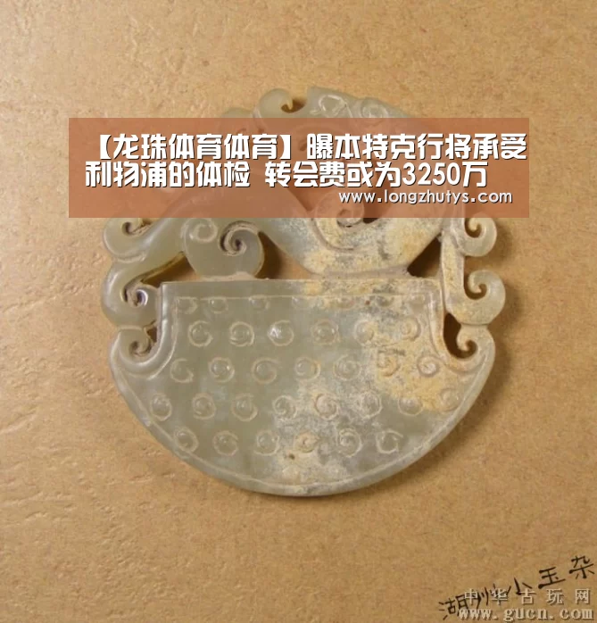 龙珠体育