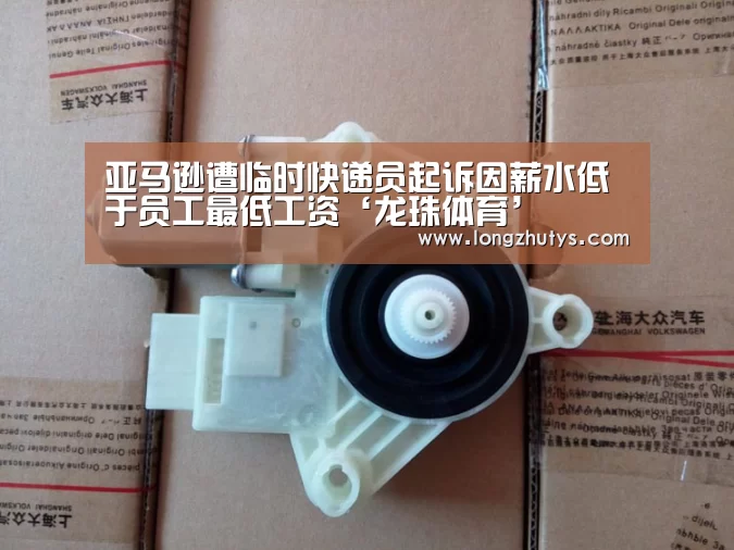 龙珠体育