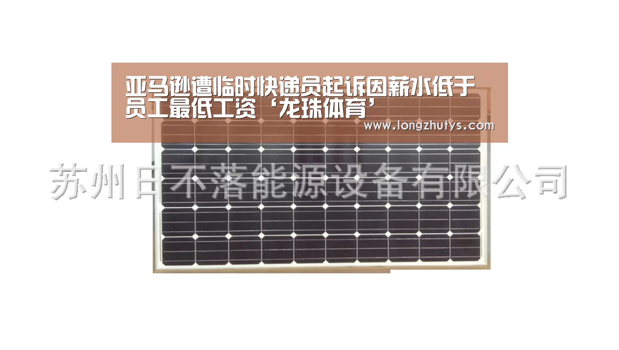 龙珠体育体育
