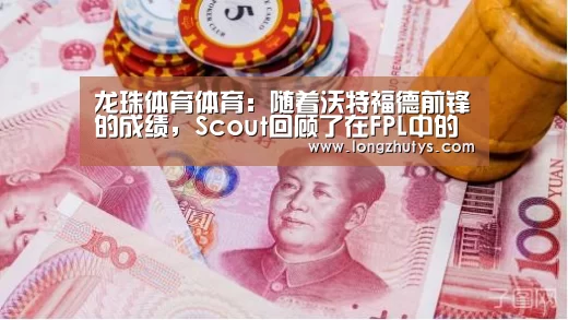 龙珠体育
