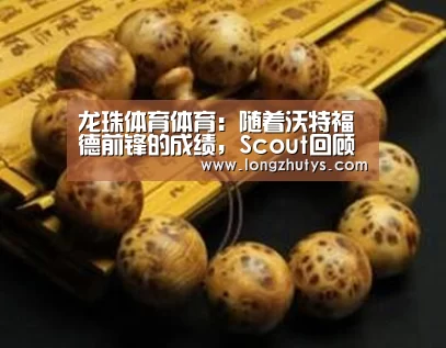 龙珠体育