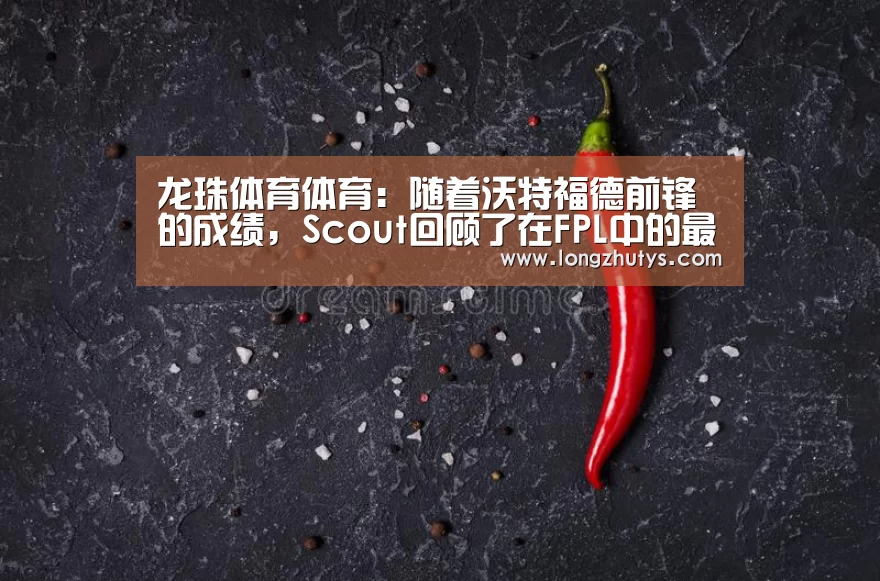 龙珠体育体育