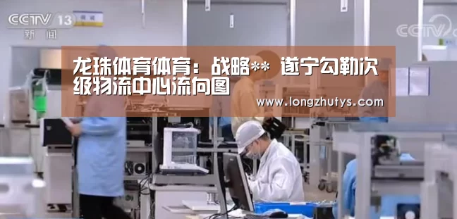 龙珠体育