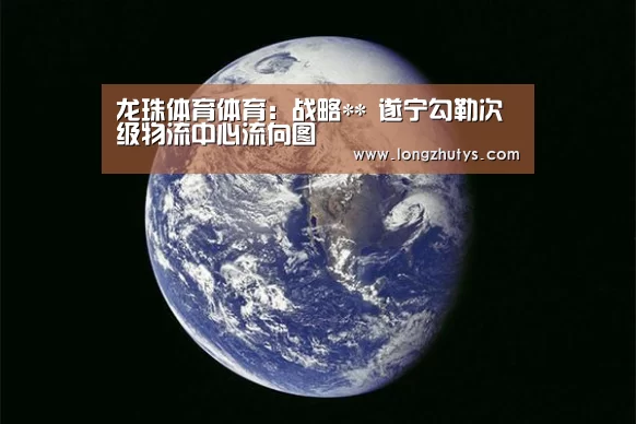 龙珠体育体育