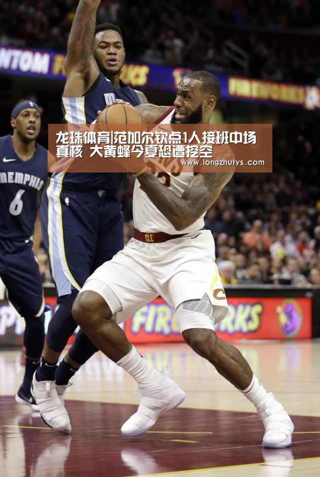 龙珠体育