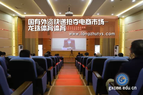 龙珠体育体育