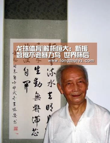 龙珠体育|解析恒大:新援数据不逊暴力鸟 世界杯后恐有大举措(图1) 龙珠体育体育