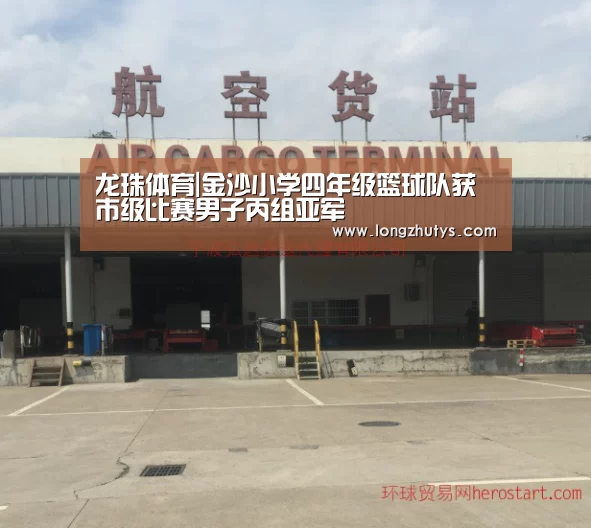龙珠体育|金沙小学四年级篮球队获市级比赛男子丙组亚军(图1) 龙珠体育