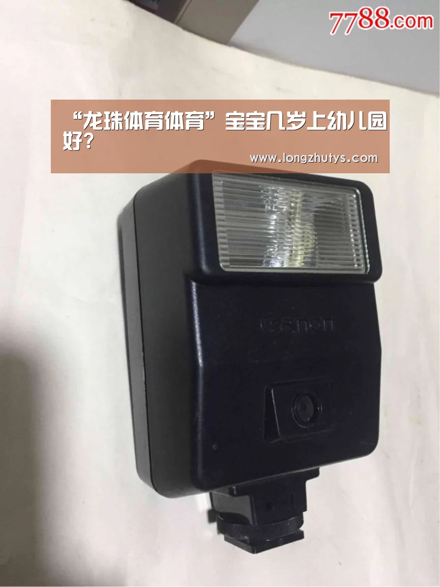 龙珠体育